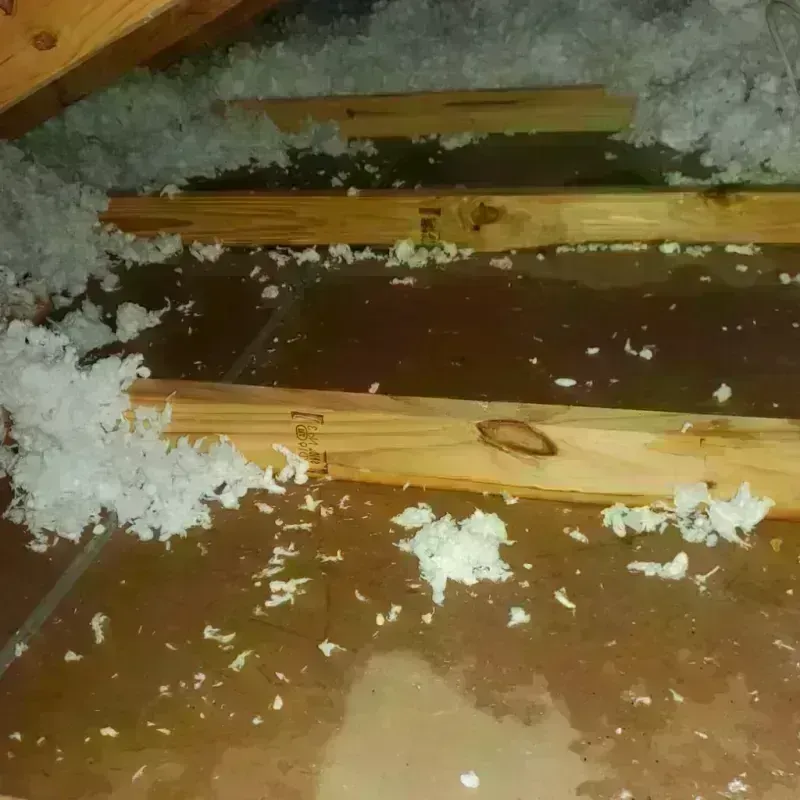 Attic Water Damage in Corralitos, CA