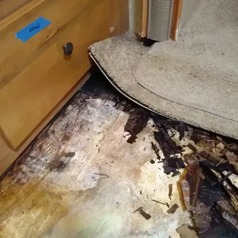 Wood Floor Water Damage in Corralitos, CA